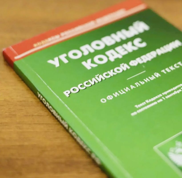 По материалам прокурорской проверки возбуждено уголовное дело о мошенничестве при получении выплат По материалам прокурорской проверки возбуждено уголовное дело о мошенничестве при получении выплат