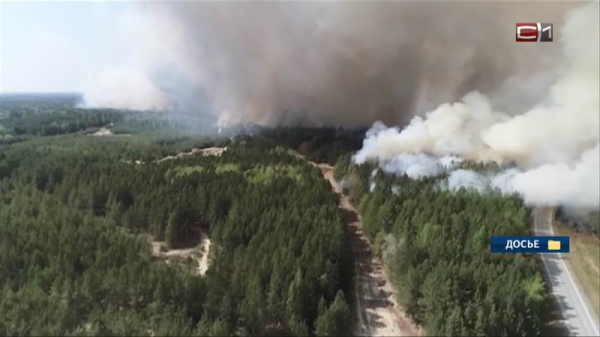 Площадь лесных пожаров в Югре за сутки сократилась почти на 95 процентов Площадь лесных пожаров в Югре за сутки сократилась почти на 95 процентов