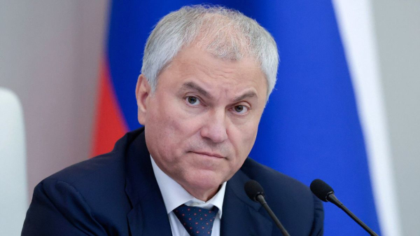 Председатель Госдумы Володин анонсировал новые меры по ужесточению миграционной политики