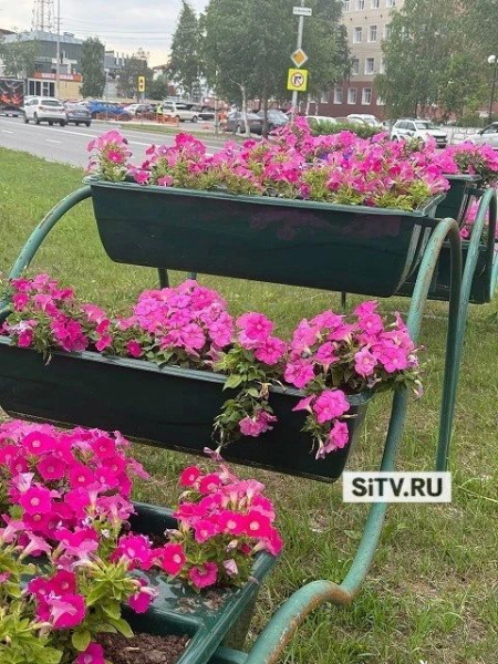 Летний Сургут продолжают украшать &mdash; недавно красок с помощью вазонов добавили на улице 30 Лет Победы