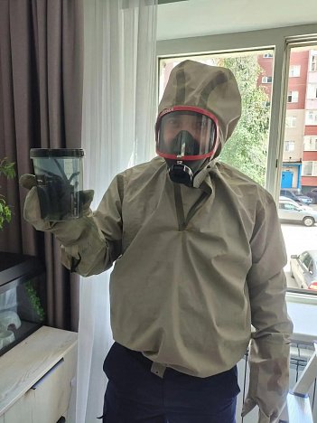 Жительницу Сургута напугал гигантский паук-птицеед, сбежавший из террариума