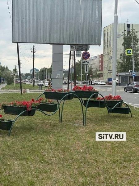 Летний Сургут продолжают украшать &mdash; недавно красок с помощью вазонов добавили на улице 30 Лет Победы