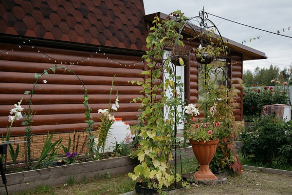 Рынок загородной недвижимости в Сургуте бьет рекорды