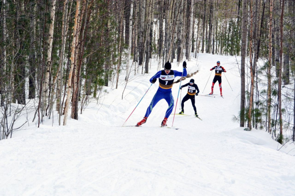 Всем спорт!? «Роснефть» развивает спорт в Югре Всем спорт!? «Роснефть» развивает спорт в Югре