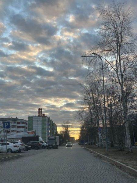 ​После майской метели в Сургут вернется тепло до +15 градусов