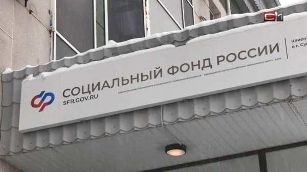 Какие законы вступят в силу с 1 января 2026 года в России Какие законы вступят в силу с 1 января 2026 года в России