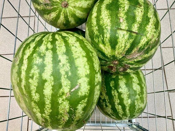 Иран поставил на Урал 40 тонн арбузов, несмотря на войну с США