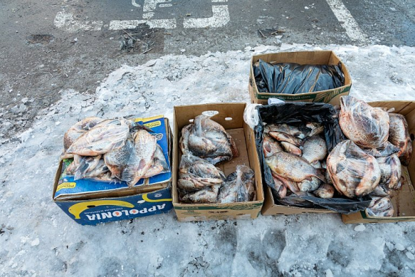 19 протоколов за незаконную торговлю было составлено в Сургуте с начала года