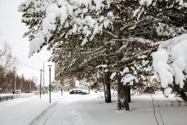 В Сургуте из-за морозов отменили занятия у всех школьников обеих смен