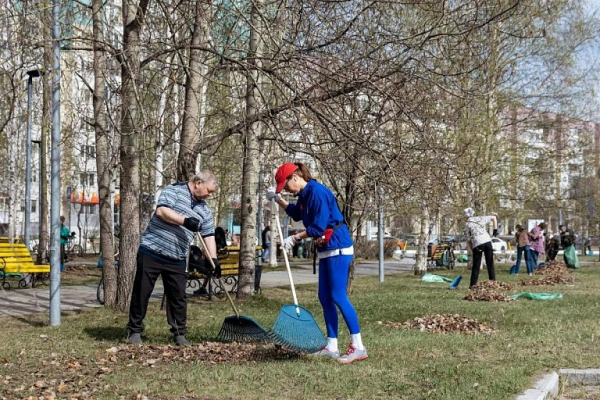 В Сургуте на субботниках высадили около 300 деревьев и кустарников
