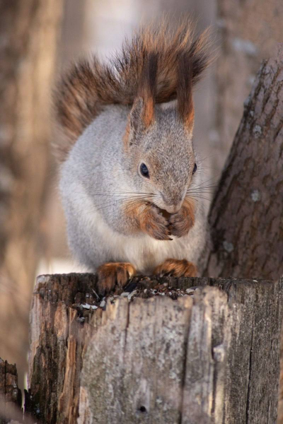 Заряжаемся позитивом с самого утра Заряжаемся позитивом с самого утра