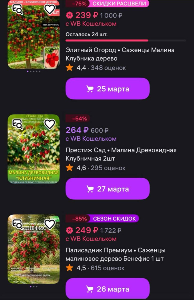 Садоводы, вы тут?. В интернете появился новый способ обмана — теперь через «чудо-растения» Садоводы, вы тут?. В интернете появился новый способ обмана — теперь через «чудо-растения»