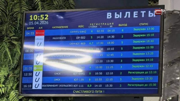 Рейсы в аэропорту Сургута массово задерживаются на несколько часов